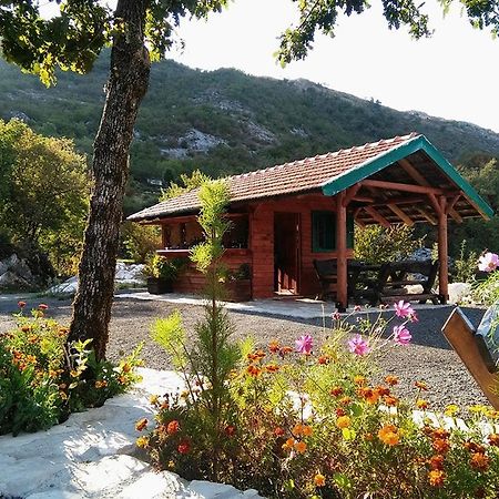 Camp Oaza,Lipa Hotel Cetinje Kültér fotó