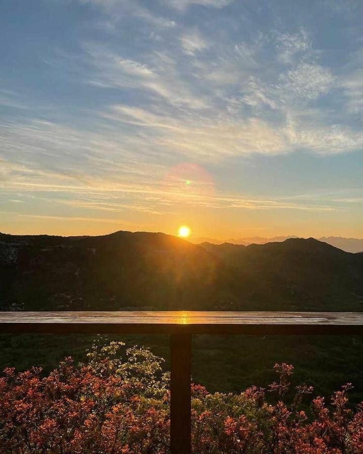 Camp Oaza,Lipa Hotel Cetinje Kültér fotó