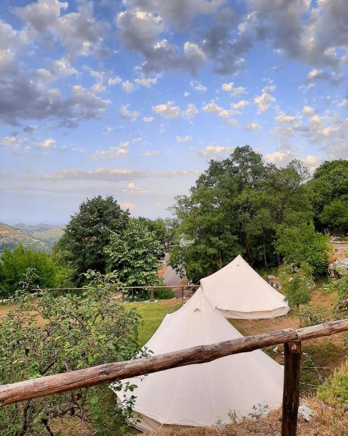 Camp Oaza,Lipa Hotel Cetinje Kültér fotó