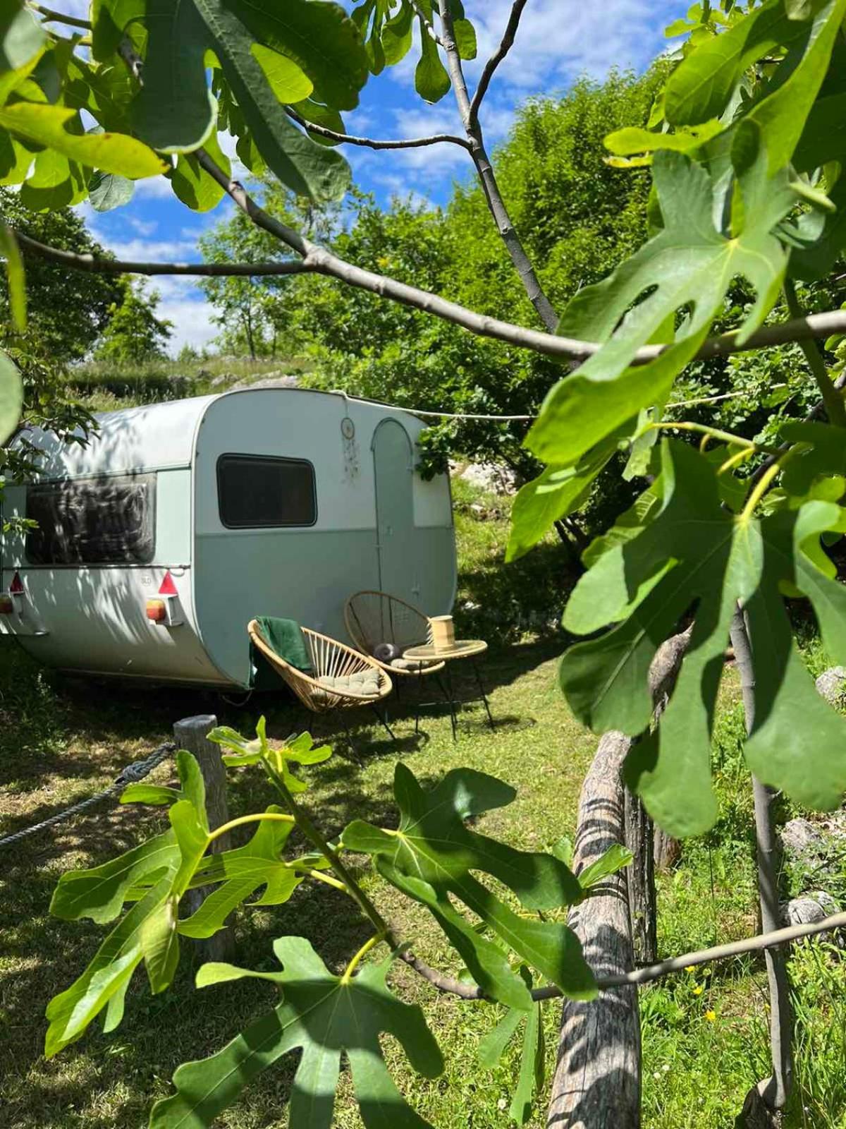 Camp Oaza,Lipa Hotel Cetinje Kültér fotó
