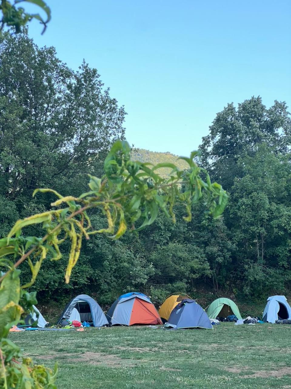 Camp Oaza,Lipa Hotel Cetinje Szoba fotó